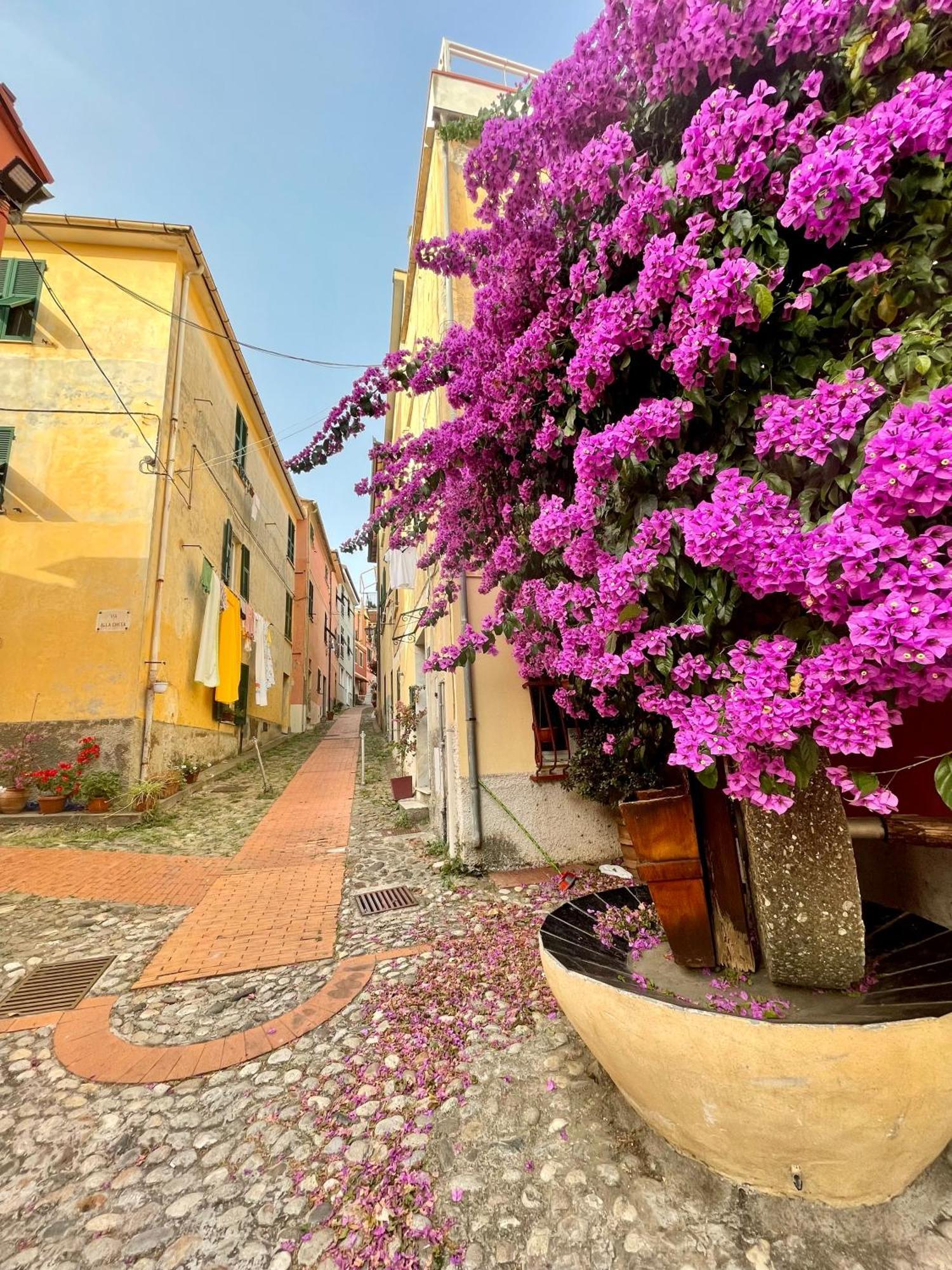 La Monstera Rooms Sestri Levante Esterno foto